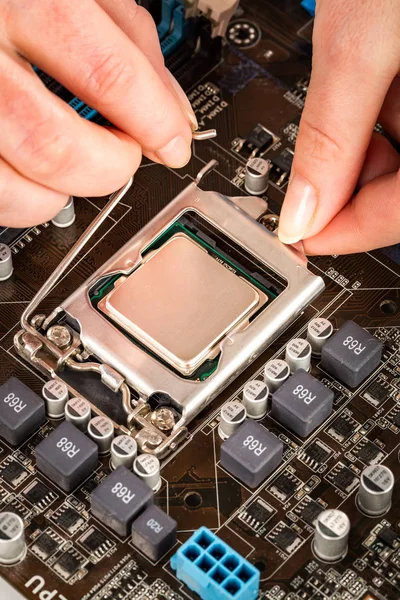 Modern processor och moderkort — Stockfoto