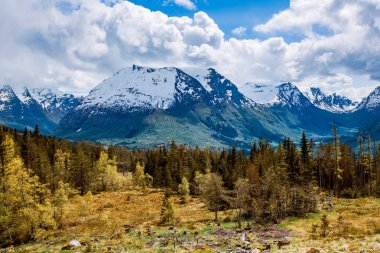 Güzel doğa Norveç.
