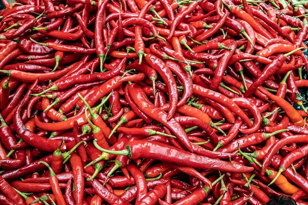 Rode chili achtergrond. India ingrediënt te koop in de markt — Stockfoto