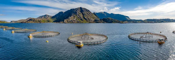 Farma łososi, wędkowanie w Norwegii — Zdjęcie stockowe