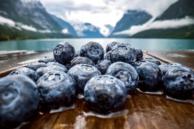 Blueberry antioxidants on a wooden table on a background of Norw clipart