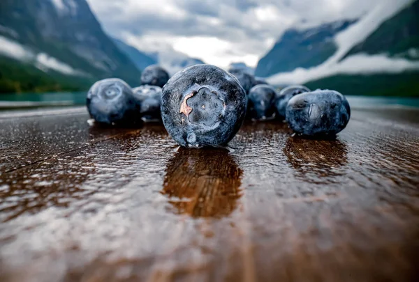 Blåbär antioxidanter på ett träbord på en bakgrund av Norw — Stockfoto