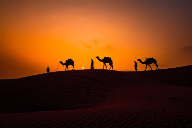 Cameleers, deve sürücüleri gün batımında. Günbatımında çöl Jaisalmer, Rajasthan, Hindistan.