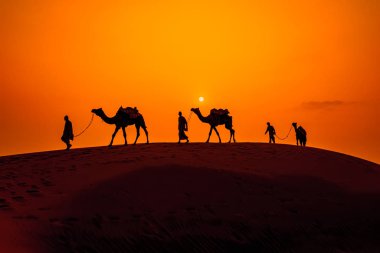 Cameleers, deve sürücüleri gün batımında. Günbatımında çöl Jaisalmer, Rajasthan, Hindistan.