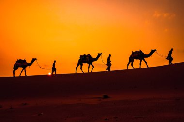 Cameleers, deve sürücüleri gün batımında. Günbatımında çöl Jaisalmer, Rajasthan, Hindistan.