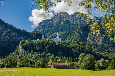 Neuschwanstein Kalesi Bavyera Alpleri Almanya