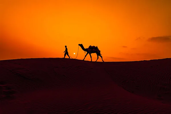 Cameleers Kameltreiber Bei Sonnenuntergang Thar Wüste Bei Sonnenuntergang Jaisalmer Rajasthan — Stockfoto