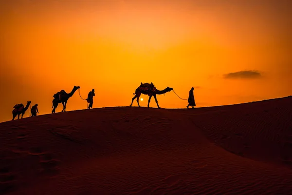 Cameleers Camel Drivers Coucher Soleil Désert Thar Coucher Soleil Jaisalmer — Photo