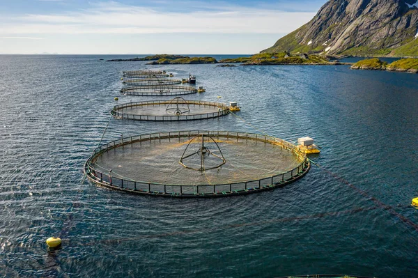 Pesca Salmón Granja Noruega Noruega Mayor Productor Salmón Piscifactoría Del — Foto de Stock