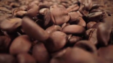 Fasulyeler yakından düşüyor.