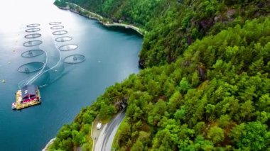 Norveç 'te somon balıkçılığının hava görüntüleri