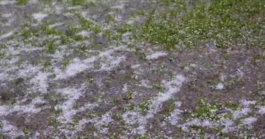 Büyük dolu yeşil çimlerin üzerine düşüyor.