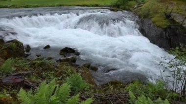 Dağ nehri suyu ve yavaş çekim yakın çekim. Norveç Güzel Doğa.