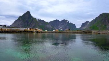 Lofoten Adaları Norveç 'in Nordland eyaletinde yer alan bir takımadalardır. Dramatik dağlar ve tepeler, açık deniz ve korunaklı körfezler, plajlar ve el değmemiş topraklarla kendine özgü bir manzarası var..
