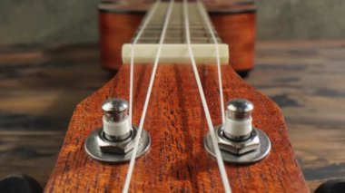 Ukulele Boyun Parmak Panosu.