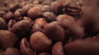 Fasulyeler yakından düşüyor.