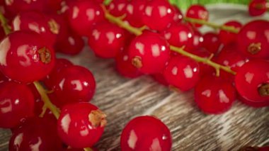 Ahşap bir masada kırmızı frenk üzümünün süper yakın makrosu.