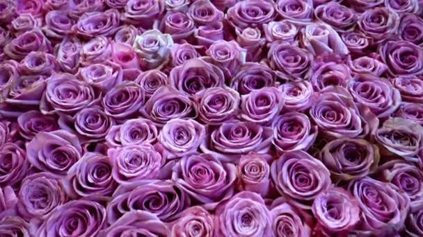 Naturalne róże tło zbliżenie — Wideo stockowe