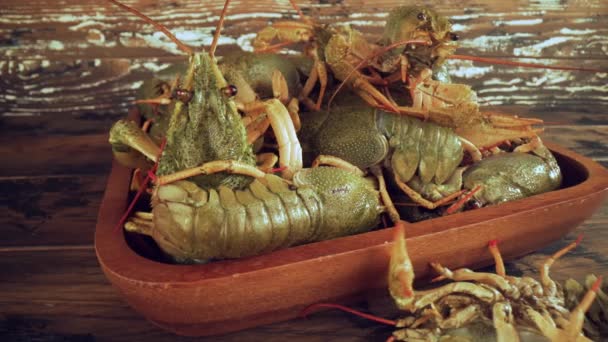 Lagostins vivos em uma mesa de madeira close-up — Vídeo de Stock