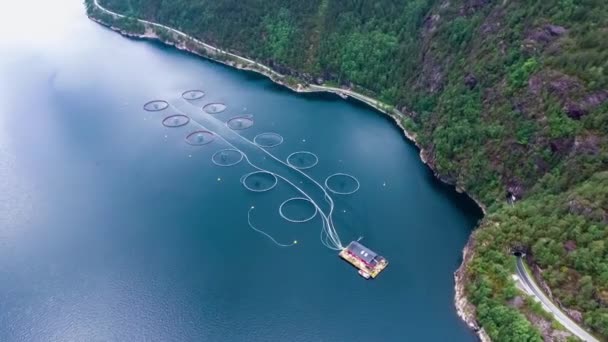 Съёмки с воздуха Рыбалка на ферме лосося в Норвегии — стоковое видео