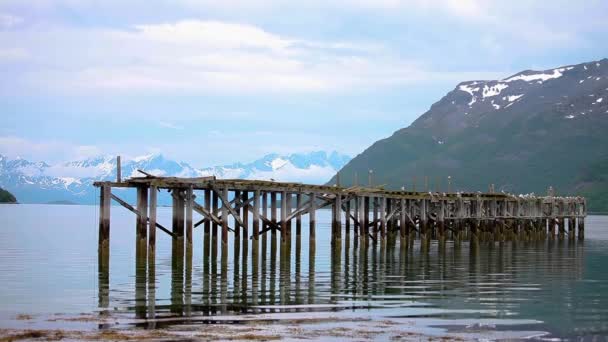 Hermosa naturaleza noruego paisaje natural gaviotas en el antiguo muelle — Vídeos de Stock