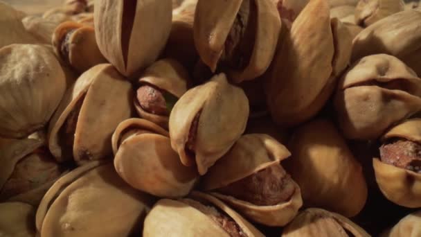 Primo piano di pistacchi. Il pistacchio un membro della famiglia anacardi, è un piccolo albero originario dell'Asia centrale e del Medio Oriente — Video Stock