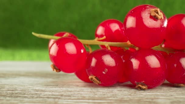 Supernahes Makro einer roten Johannisbeere auf einem Holztisch. — Stockvideo