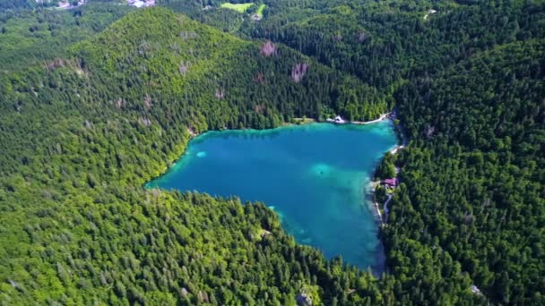 Lago di Fusine Gölü İtalya Alpleri. Hava FPV İHA uçuşları. — Stok video