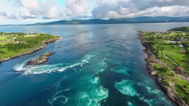 Wiry wir Saltstraumen, antena Nordland, w Norwegii Zobacz piękną przyrodą. Saltstraumen jest małe cieśniny z jednym z najsilniejszych prądów pływowych na świecie. — Wideo stockowe