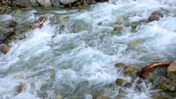 Água do rio da montanha com fecho em câmara lenta — Vídeo de Stock