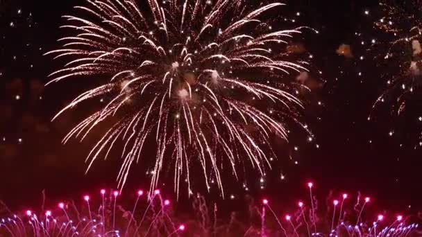 Πολύχρωμα πυροτεχνήματα εκρήγνυνται στον νυχτερινό ουρανό. Γιορτές και εκδηλώσεις σε φωτεινά χρώματα. — Αρχείο Βίντεο