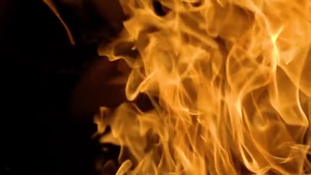 Flammor av eld på svart bakgrund i slow motion — Stockvideo