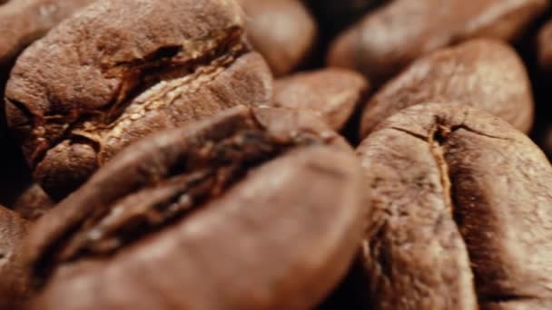 Кава в зернах Закри — стокове відео