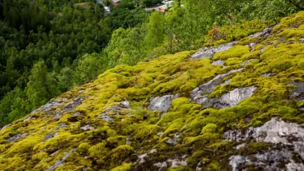 Geiranger fjord，挪威。它是距离Sunnylvsfjorden 15公里（9.3英里）的一个分支，是Storfjorden（大峡湾）的一个分支). — 图库视频影像