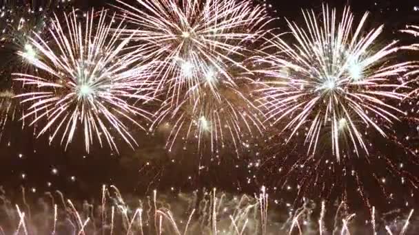 Fuegos artificiales de colores explotando en el cielo nocturno. Fiestas y eventos en colores brillantes . — Vídeo de stock