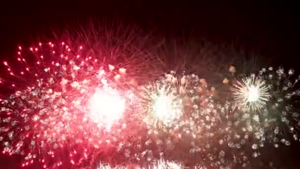 Fuochi d'artificio colorati esplodono nel cielo notturno. Celebrazioni ed eventi dai colori vivaci . — Video Stock