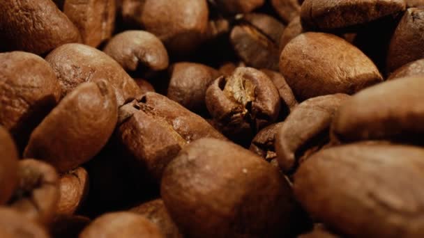 Zbliżenie ziaren kawy — Wideo stockowe