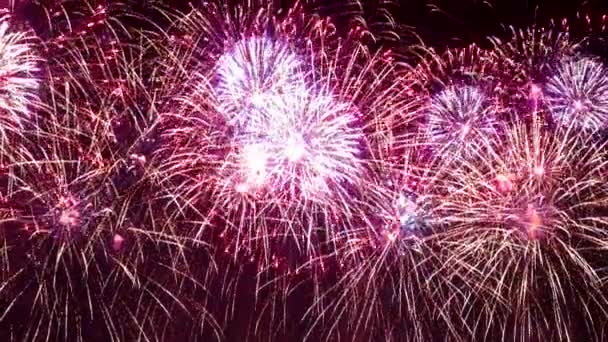 Fogos de artifício coloridos explodindo no céu noturno. Celebrações e eventos em cores brilhantes . — Vídeo de Stock