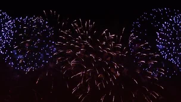 夜空にカラフルな花火が爆発します。明るい色のお祝いやイベント. — ストック動画