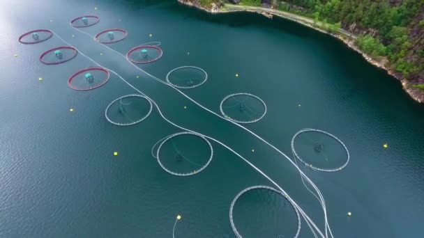 Luchtfoto 's Boerderij zalmvisserij in Noorwegen — Stockvideo