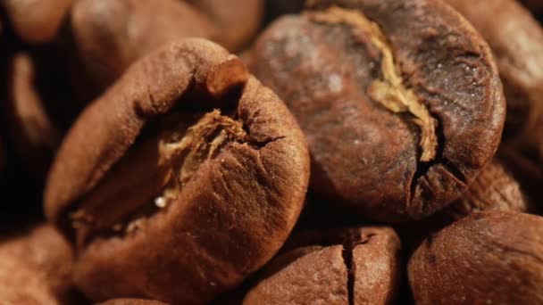 Gros plan sur les grains de café — Video