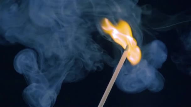 Gyufa égetése fekete háttérrel lassított felvételen — Stock videók