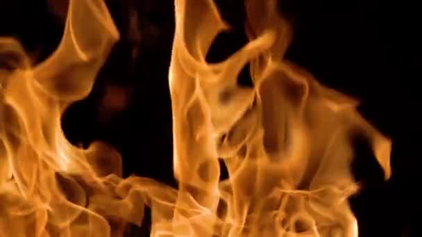 Płomienie ognia na czarnym tle w zwolnionym tempie — Wideo stockowe