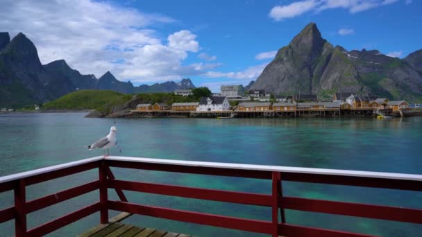 Lofoten é um arquipélago da Noruega localizado no condado de Nordland. É conhecido por um cenário distinto com montanhas e picos dramáticos, mar aberto e baías abrigadas, praias e terras intocadas . — Vídeo de Stock