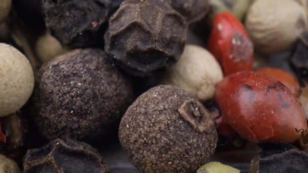 Macro close-up Mixed peppercorns. Mezcla seca granos de pimienta de cerca — Vídeo de stock
