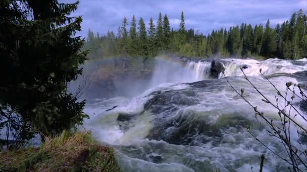 Ristafallet Falls i den vestlige delen av Jamtland er oppført som en av Sveriges vakreste fossefall. . – stockvideo