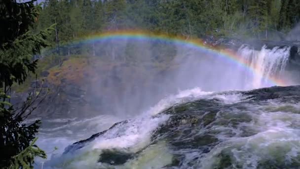 Cámara lenta de vídeo ristafallet cascada en la parte occidental de Jamtland está catalogado como una de las cascadas más bellas de Suecia . — Vídeo de stock