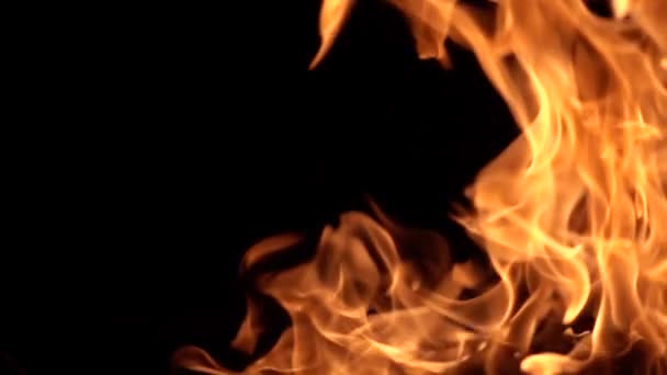 Flames of fire on black background in slow motion — Stock Video