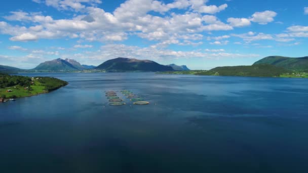 Imágenes aéreas Granja de salmón de pesca en Noruega. Vuelos aéreos de aviones no tripulados FPV . — Vídeos de Stock