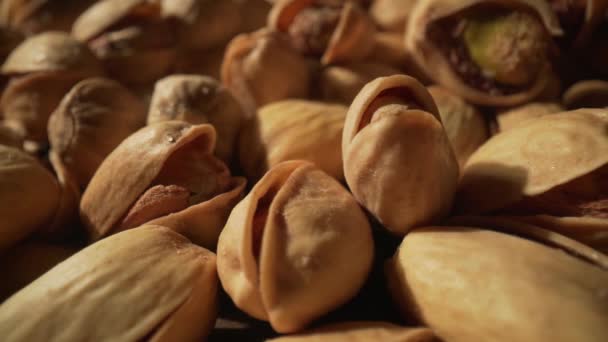 Gros plan de la noix de pistache. La pistache, un membre de la famille des noix de cajou, est un petit arbre originaire d'Asie centrale et du Moyen-Orient — Video